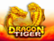 dragon-tiger